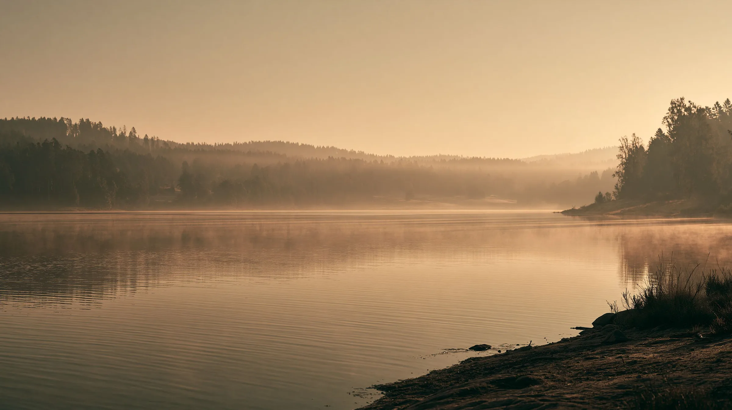 Stiller See im warmen Morgendunst, am Ufer bewaldete Hügel und eine Baumgruppe